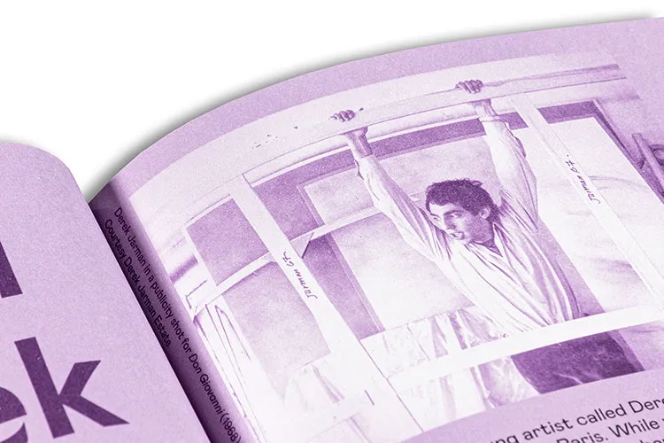 Little Joe: A book about queers and cinema, mostly