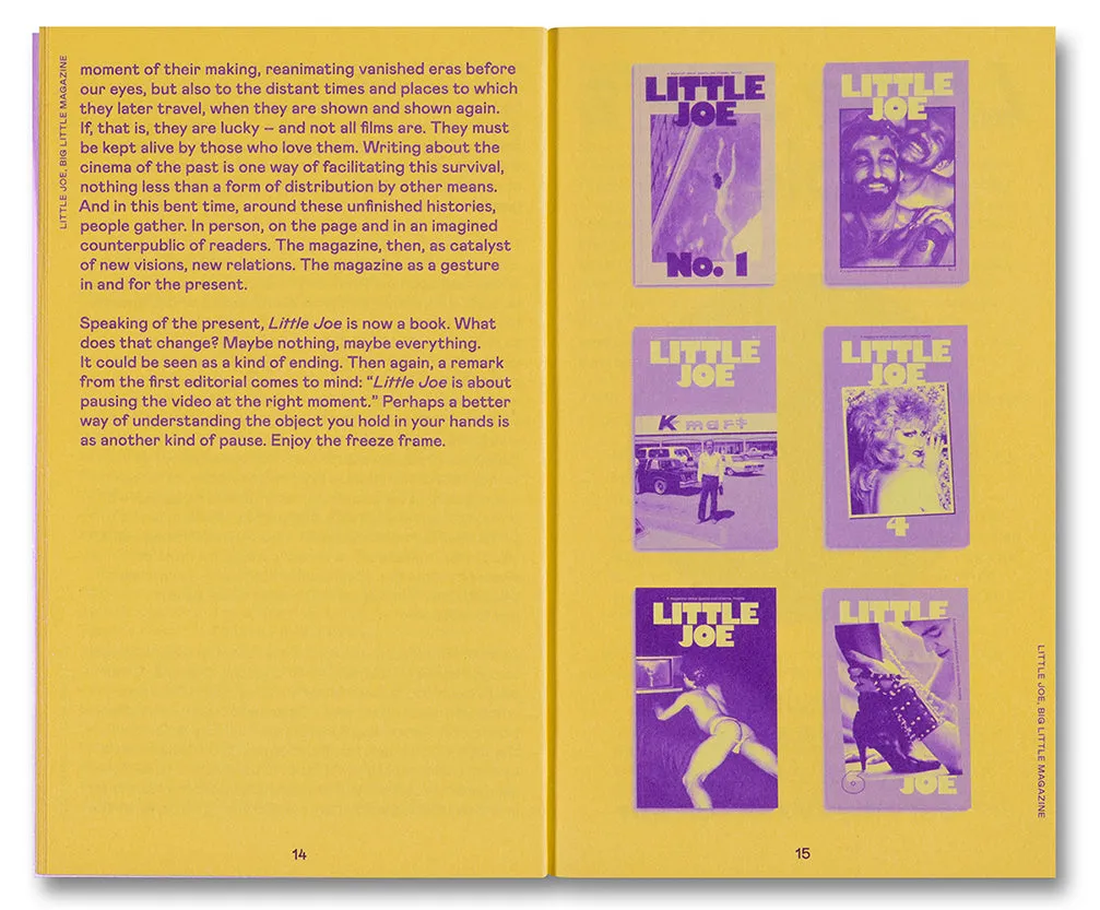 Little Joe: A book about queers and cinema, mostly