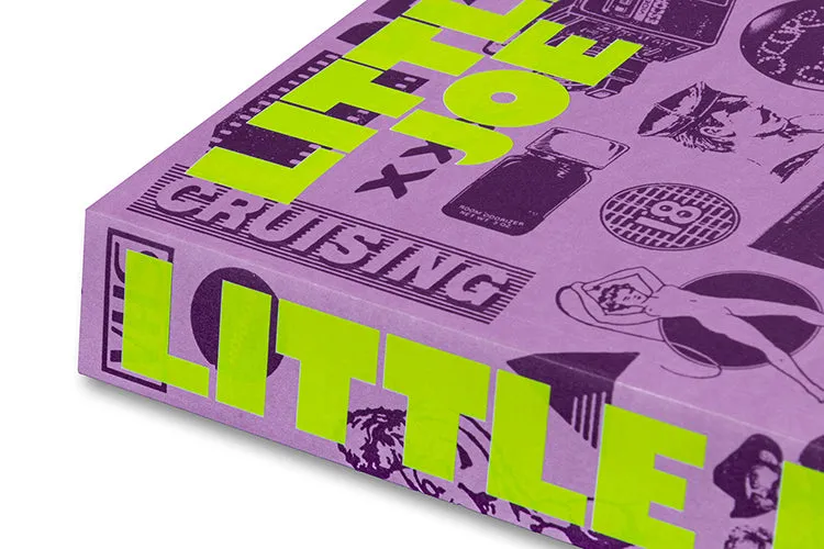 Little Joe: A book about queers and cinema, mostly