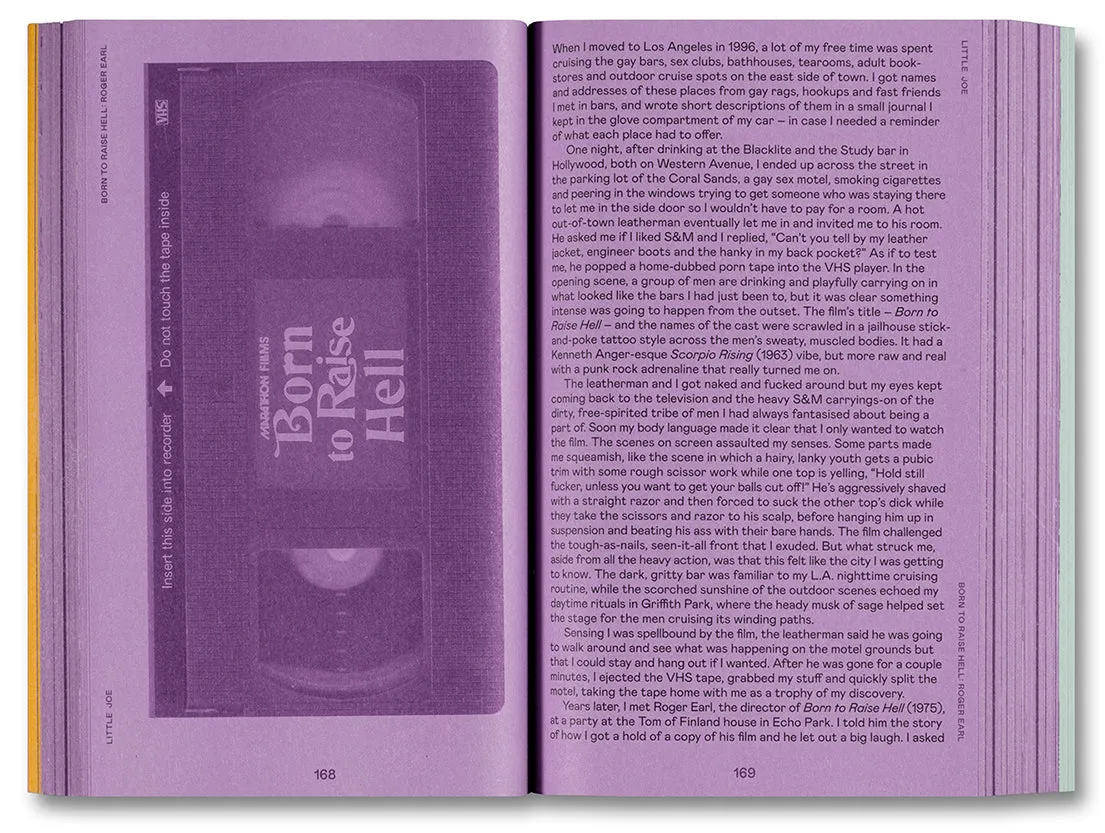 Little Joe: A book about queers and cinema, mostly